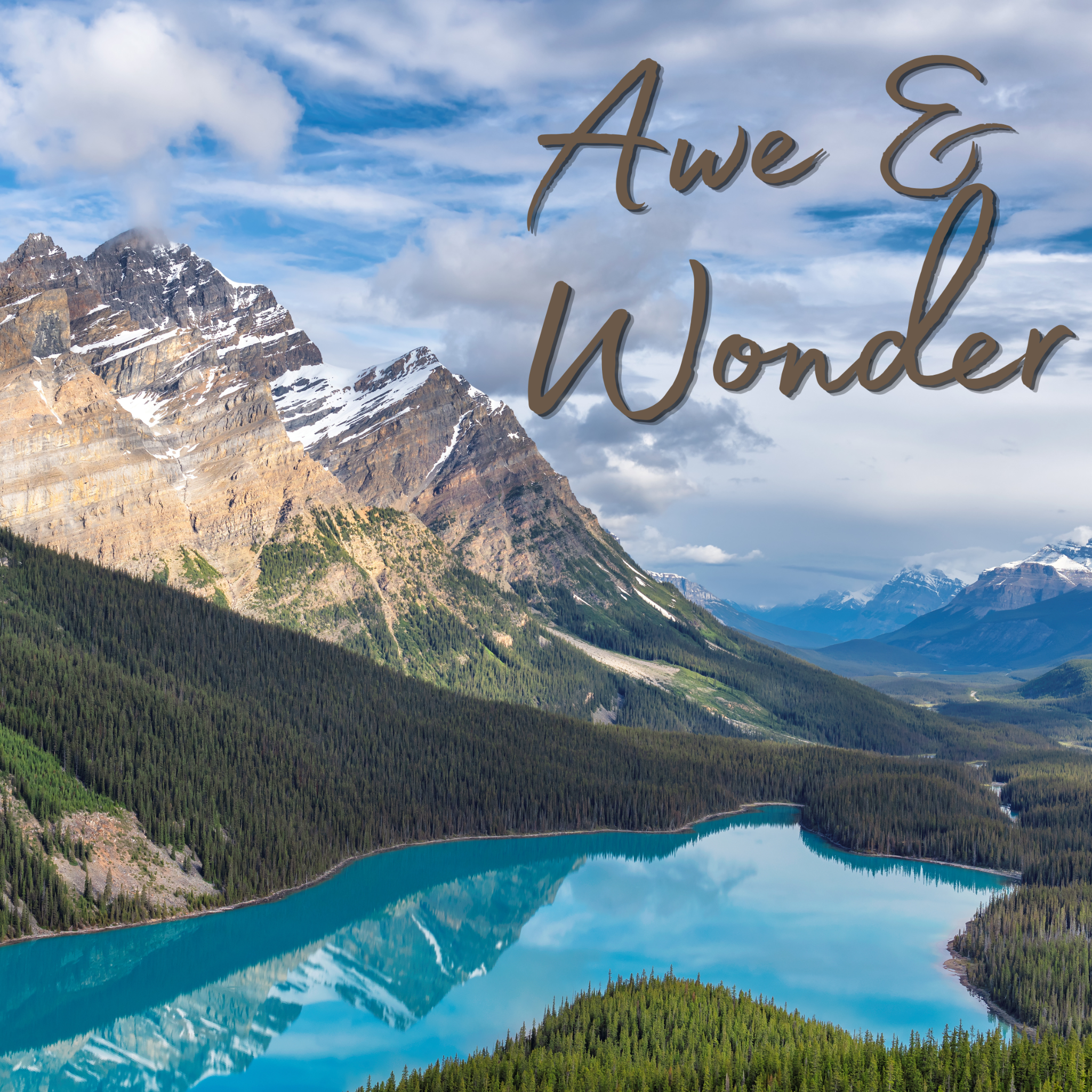 Awe and Wonder (Psalm 8)