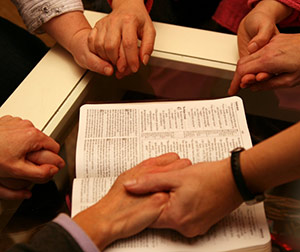 Life Groups Life Groups
